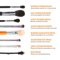 Face Perfection Essential Brush Combo – 8 Essential Brushes Face Perfection Essential Brush Combo – 8 Essential Brushes