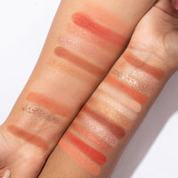 Pinkflash Pro Touch Eyeshadow Palette Group-Grapefruit Mousse