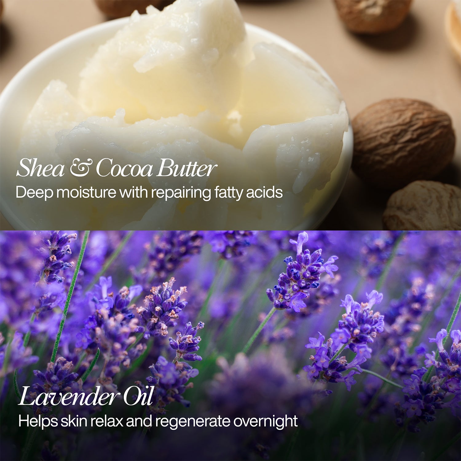 Renewal Night Cream with Vitamin E, Lavender & Grape Seed Oil – 50ml