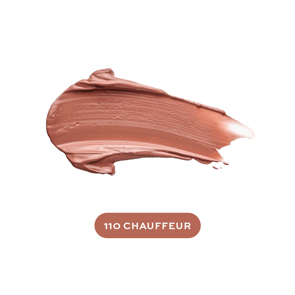 Group-Chauffeur 110