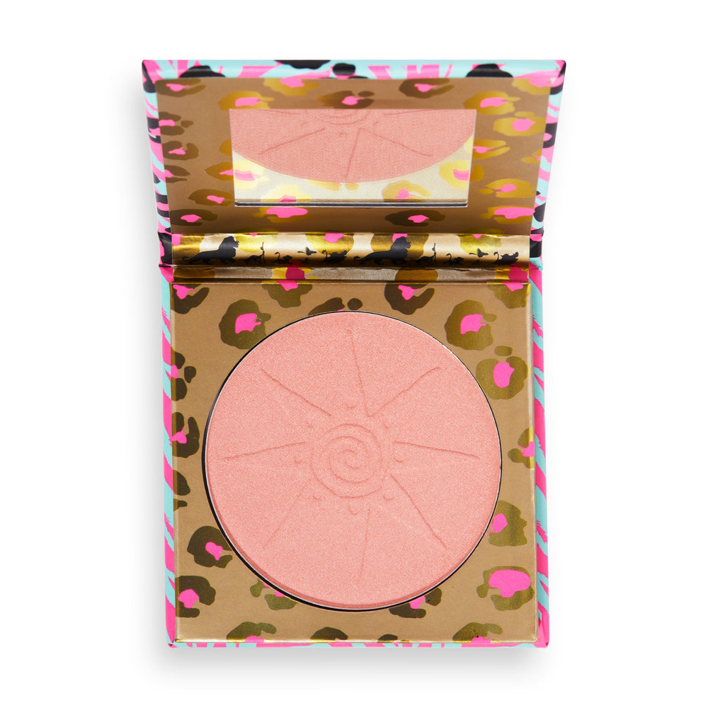 Group-Heart Of A Lioness Highlighter