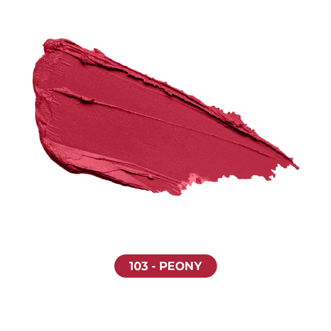 L.N Pro Lip Powder Matte Lipstick