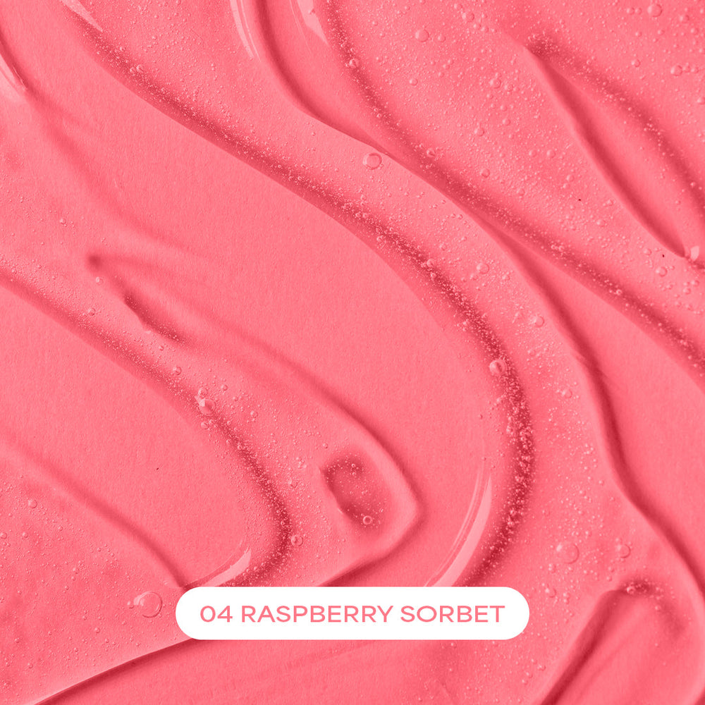 Group-04 Raspberry Sorbet