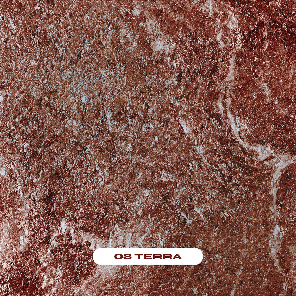 Group-08 Terra