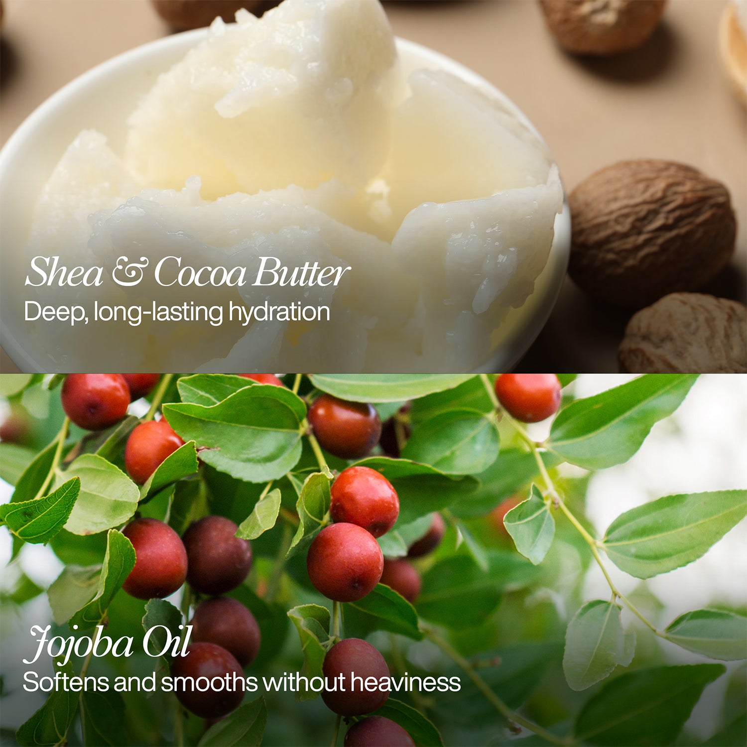 Super Intensive Moisturiser 24hr nourishment with Grape Seed & Shea Butter- 50ml